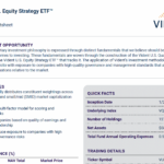 VUSE Q4 2024 factsheet